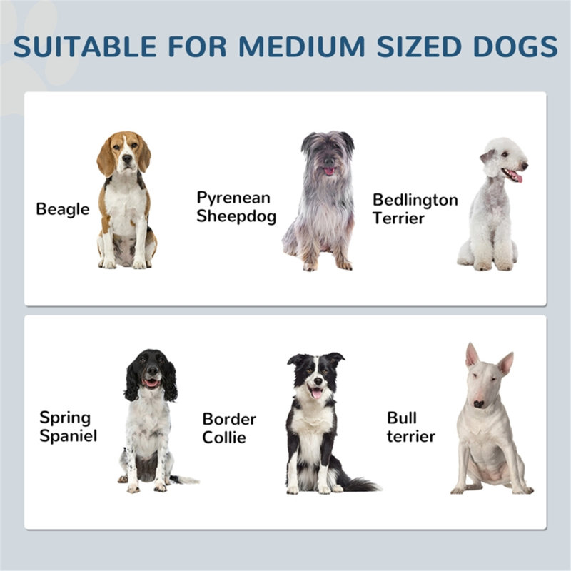 Ensemble de rangement pour chien PE, PP