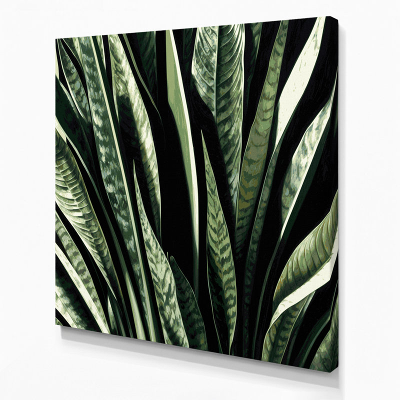 «Botanical Snake Plant», art mural sur toile verte, H 12 po x l 12 po