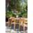 Margaritaville Catalina Cushionless Dining Chair