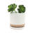 Balmer Ceramic Saucer Planter with Ribbed Texture-2120804519-2120804513