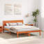Solid Wood Bed Frame-135709637-135709654