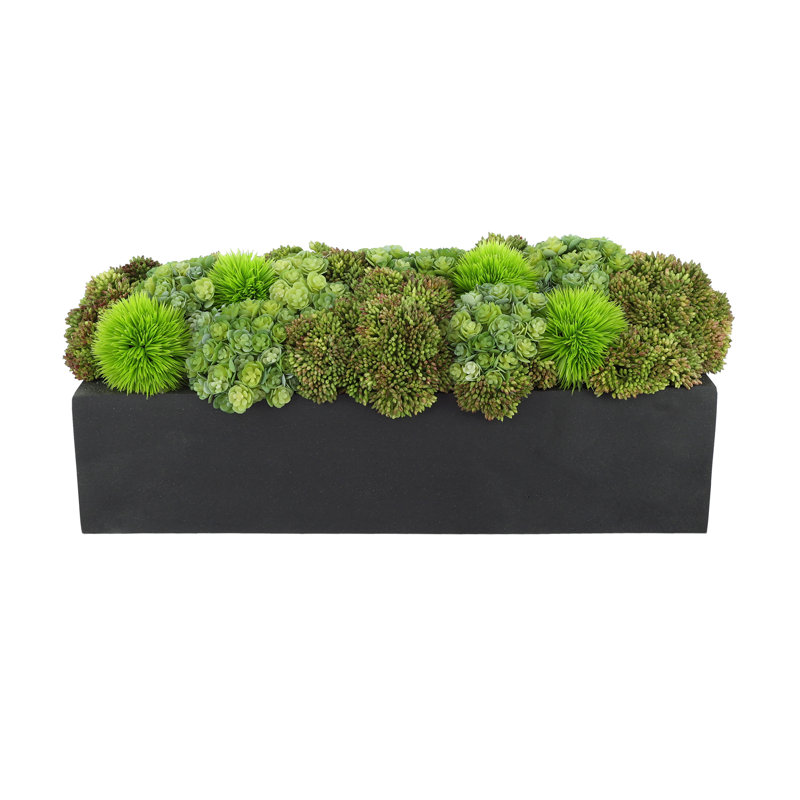 Rizal 7'' Faux Succulent Plant in Fiberstone Pot, Black