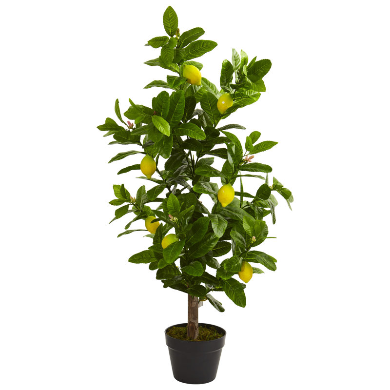 36'' Faux Lemon Tree in Pot