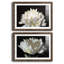 ALL AFLUTTER - ensemble de 2 reproductions-1761994158-1761994155-1778156556