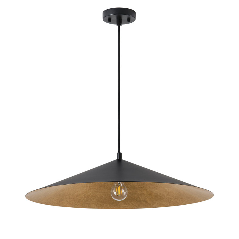 1-Light black round iron adjustable pendant lamp, 65.16" H x 25.59" W x 25.59" D