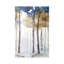 In The Blue Forest III by Eva Watts - Wrapped Canvas Painting-767686822