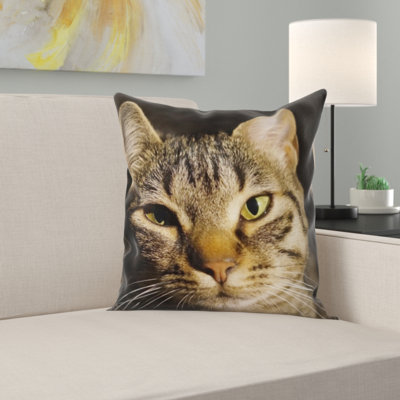 Coussin pour chat