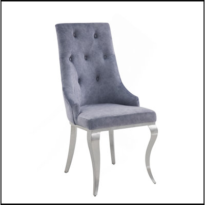 Fabric & Stainless Steel Side Chair (Set Of 2)