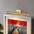 Coates Large Picture Light in Brushed Bronze