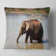 Éléphant dans l'eau au sri lankais - Coussin imprimé animal-30721971-30721975