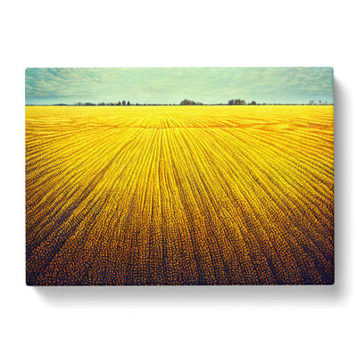 Splendid Wheat Field - Wrapped Canvas