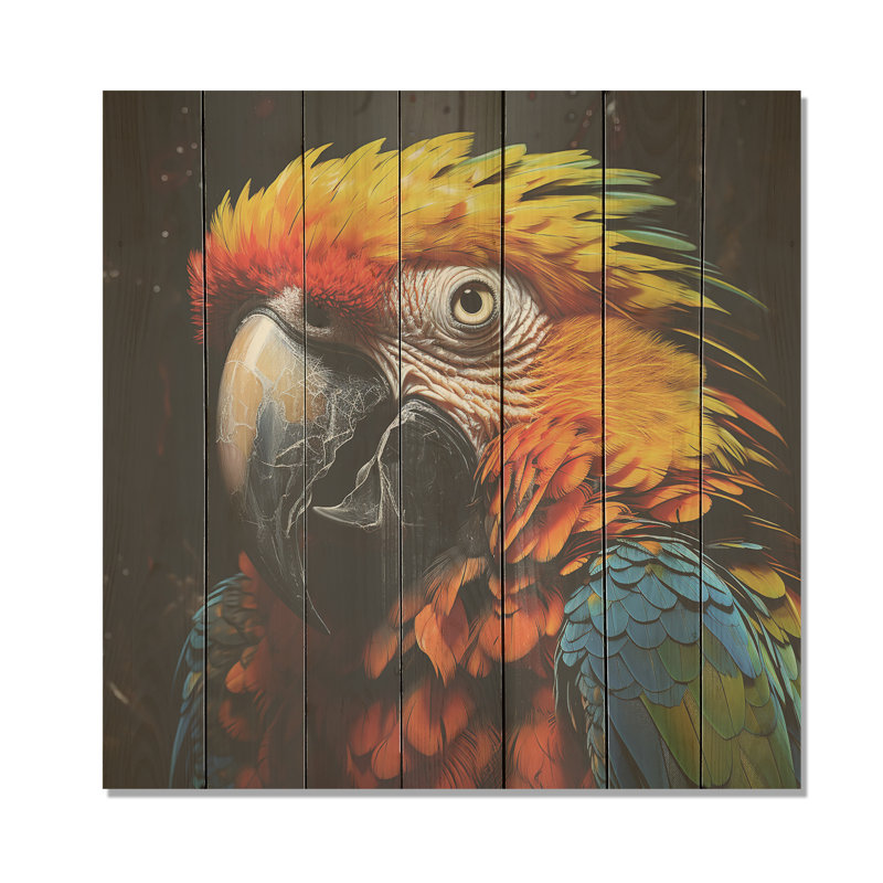 Photo de portrait de perroquet jaune et bleu - Perroquet sur bois, H 25 po x l 25 po