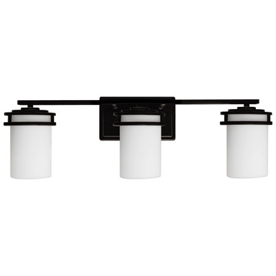  3-Light Vanity Light Fixture Bathroom Light