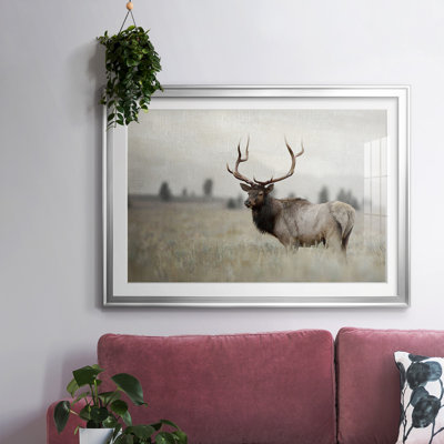 " Grand Elk "