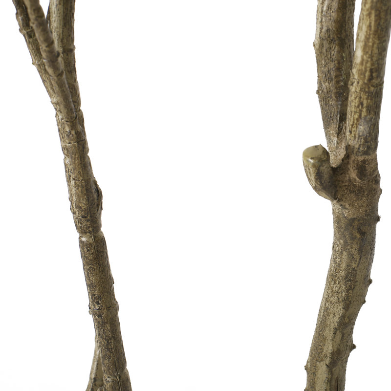 82.7'' Faux Eucalyptus Tree in Planter