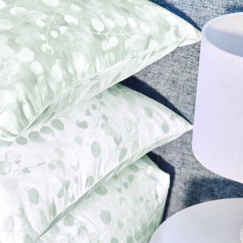 Rosée sauge Euro sham, Green; White, Rosée sauge, Boudoir