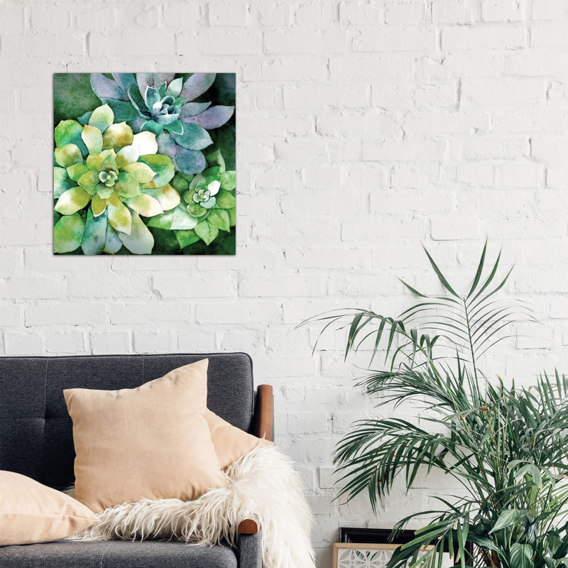 Summer Succulents by Conrad Knutsen - Wrapped Canvas Print, 66.04 cm H x 66.04 cm W x 1.91 cm D