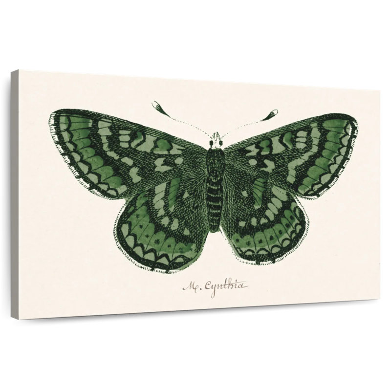 Brampt papillon antique I, H 16 po x l 24 po