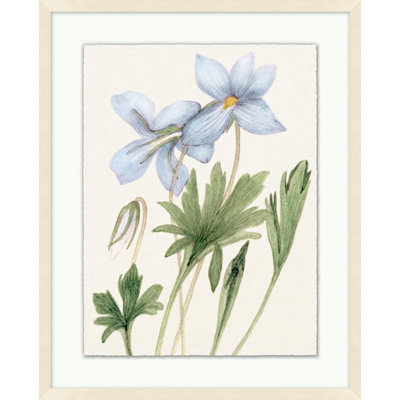 Croquis floral rétro 1 - peinture encadrée
