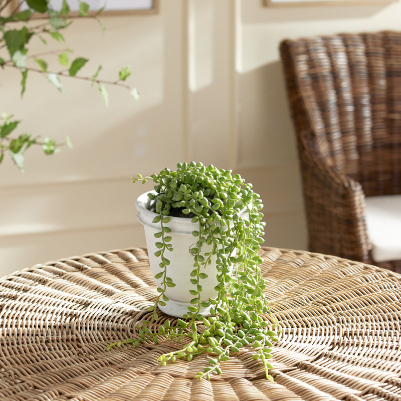 26'' Faux Succulent Plant in Planter