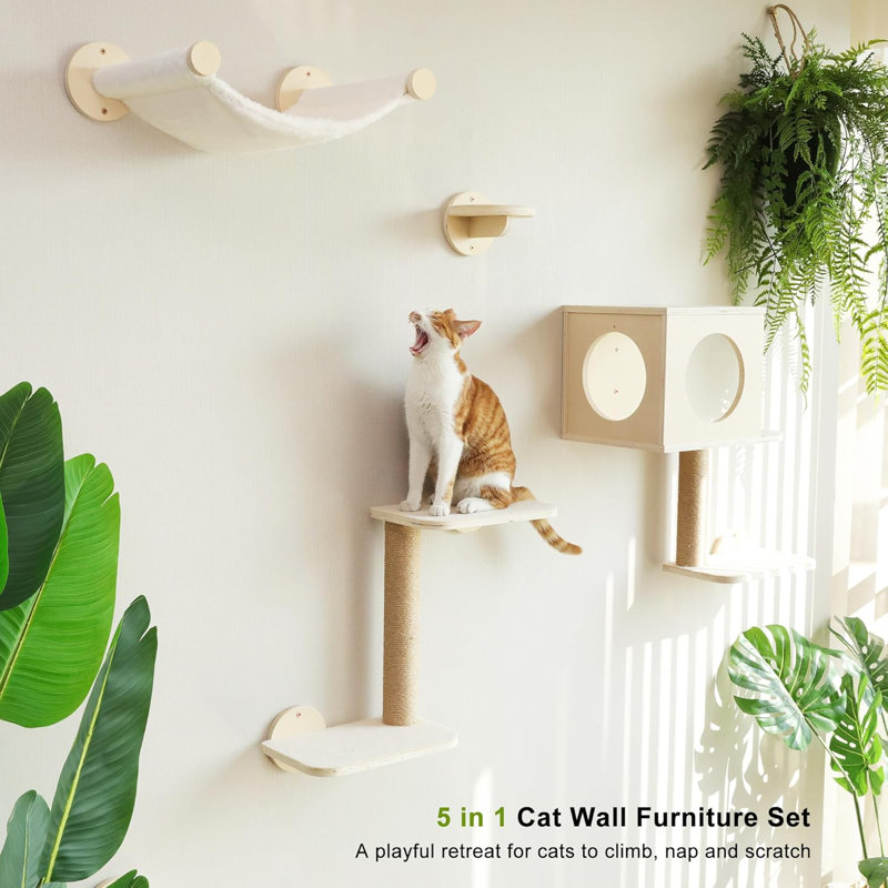 Ensemble de 5 tablettes murales en bois pour chat