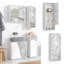 Amishi Wall Bathroom Cabinet