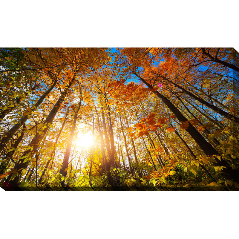 « automne aura », reproduction de photo sur toile tendue, H 36 po x l 60 po x P 1,5 po