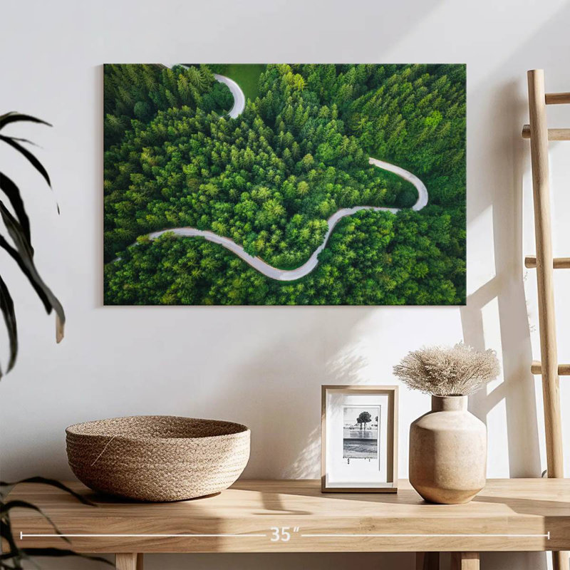 Alvord Winding Pine Forest Road, H 16 po x l 24 po