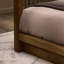 Frederick Upholstered Canopy Bed-1066758176