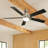 Lucian 60'' Ceiling Fan with LED Lights-715556766