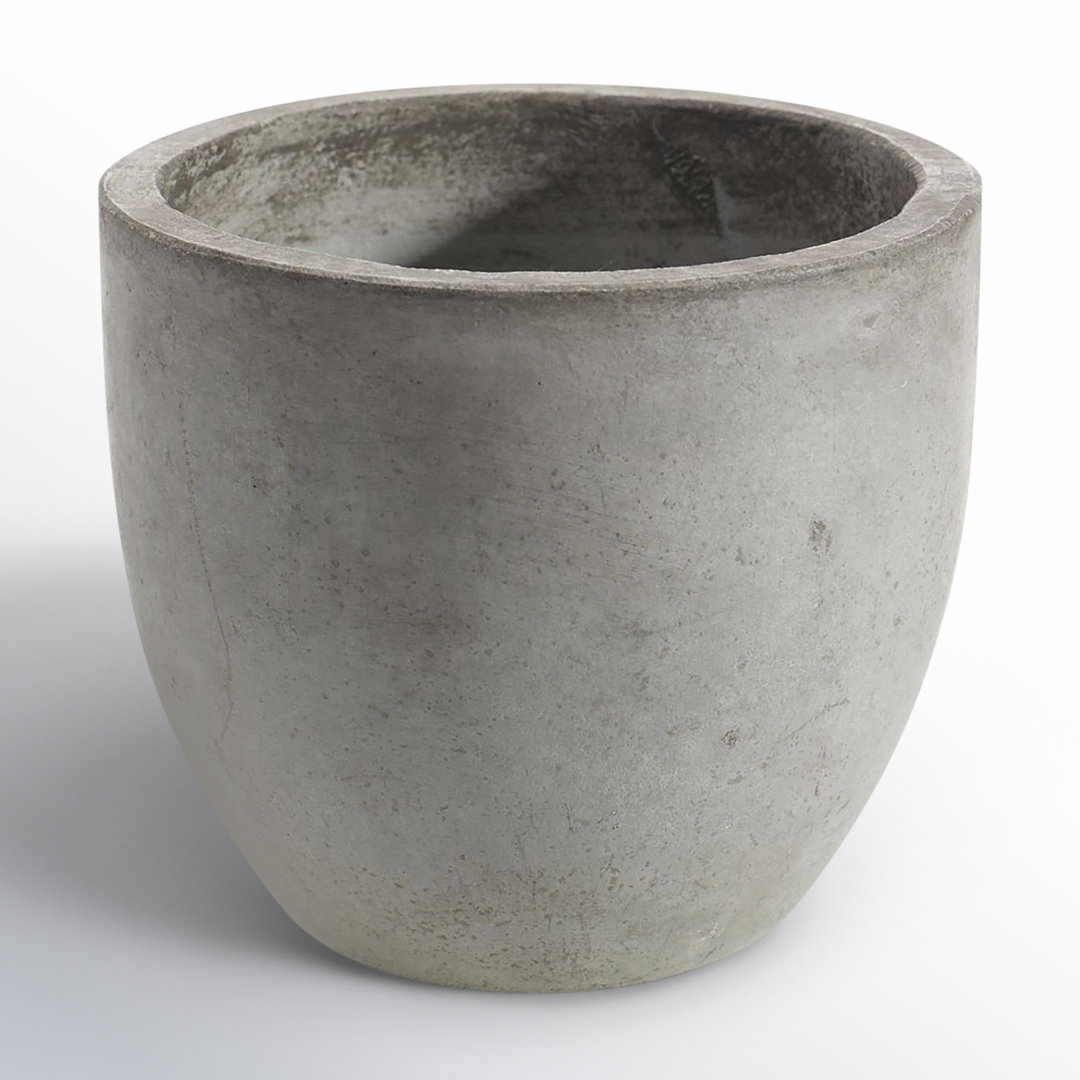 Trixie Newport Pot Joss & Main 