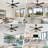 52" 4-Blade Farmhouse 6 Speeds Reversible DC Motor Caged Ceiling Fan with Lights and Remote Control-2133728321