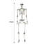 Halloween Figurines & Collectibles-927828464