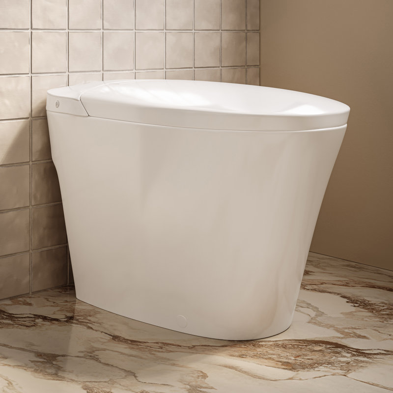 Toilette monobloc 12 po à chasse d'eau brute à chasse d'eau 1,1 GPF par Swiss Madison Hugo