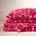 Mini Unikko Red