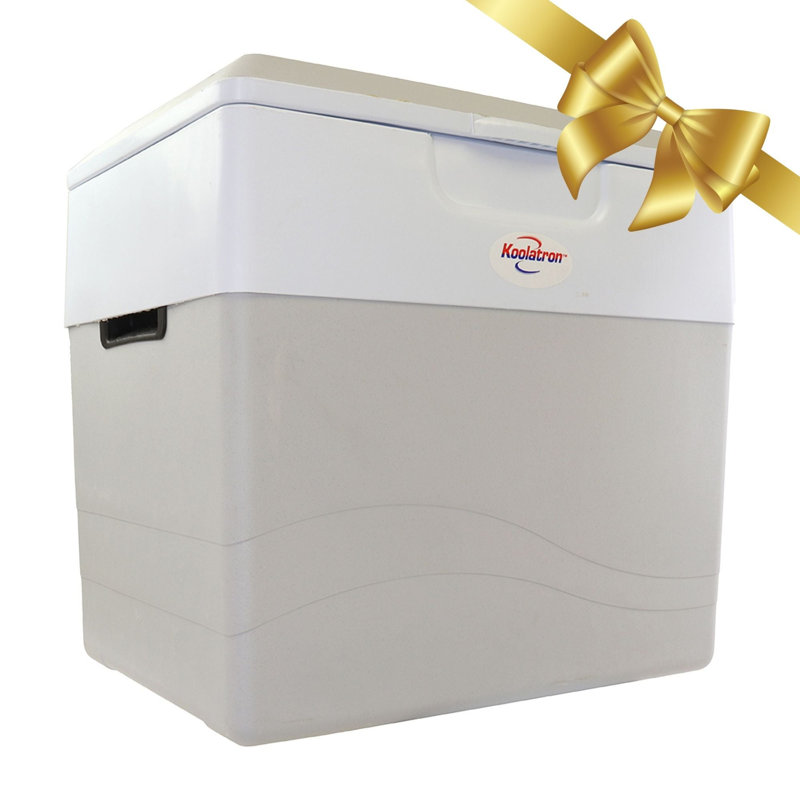 Ebern Designs 31L Ice Chest in Grey