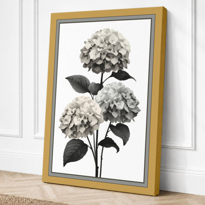 Hydrangea Study Botanical - Wrapped Canvas