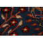 Tapis indien à motif animalier Ziegler