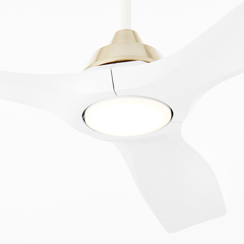 Kesslyn 52'' Ceiling Fan with LED Lights, White