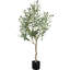 120cm Plant