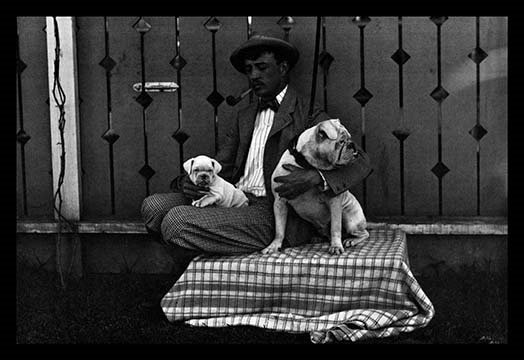«Bulldog, Master, and Pup», reproduction de photo, H 24 po x l 36 po x P 1,5 po