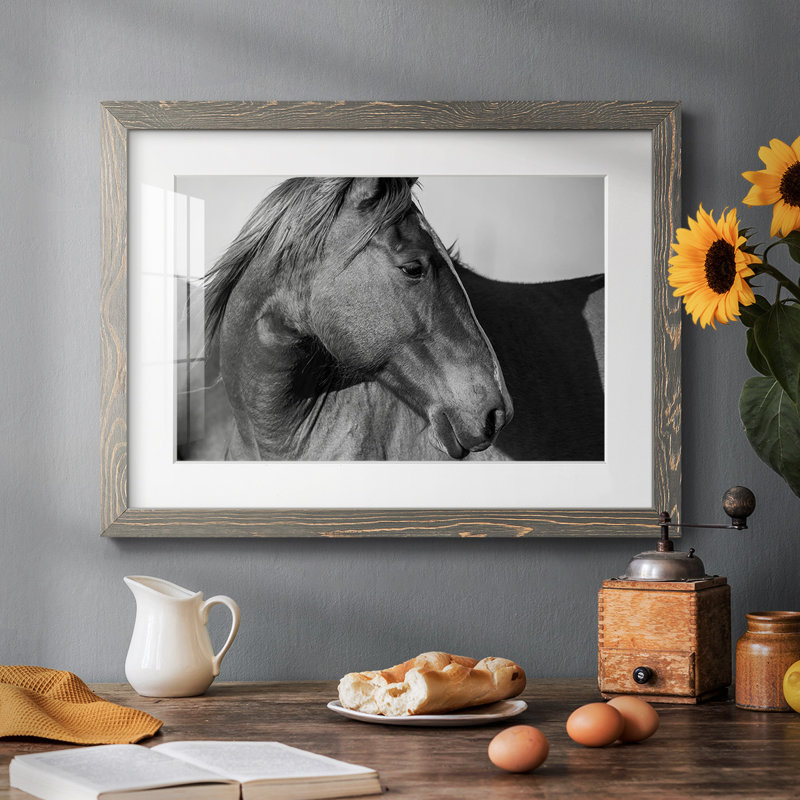 Flint Hills Wild Horse, impression sur papier, Gris, H 18 po x l 26 po x P 1,5 po