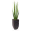 Faux Snake Grass Plant in Metal Planter