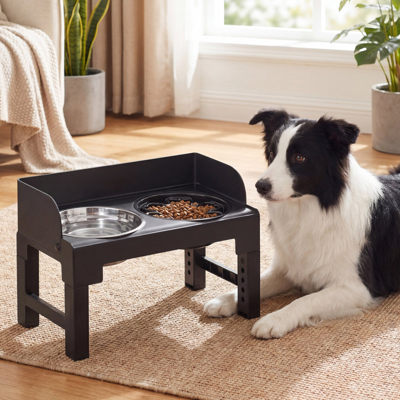 Bols pour chien surélevés Feandrea				, Noir