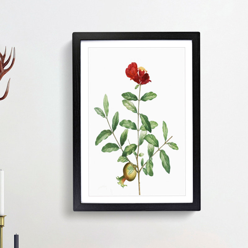 Pomegranate Tree Branch by Pierre-Joseph Redoute - Picture Frame Painting Print, 48cm H x 36cm W x 2cm D, Black Framed