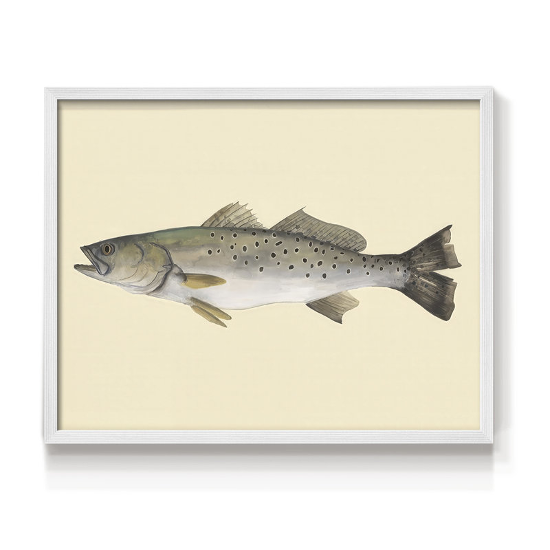 Saltwater Species II -Framed Print - Restickable, H 8 po x l 10 po, Blanc