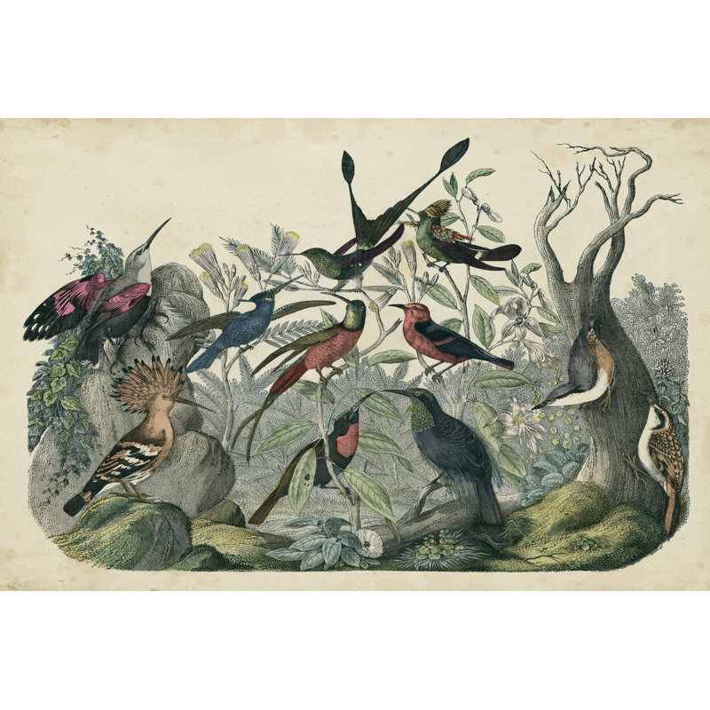 Habitat For Birds - Wrapped Canvas Print, 81cm H x 122cm W