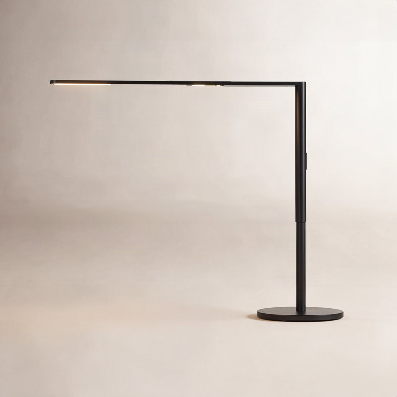 Lady7 Adjustable Metal USB Desk Lamp, Metallic Black