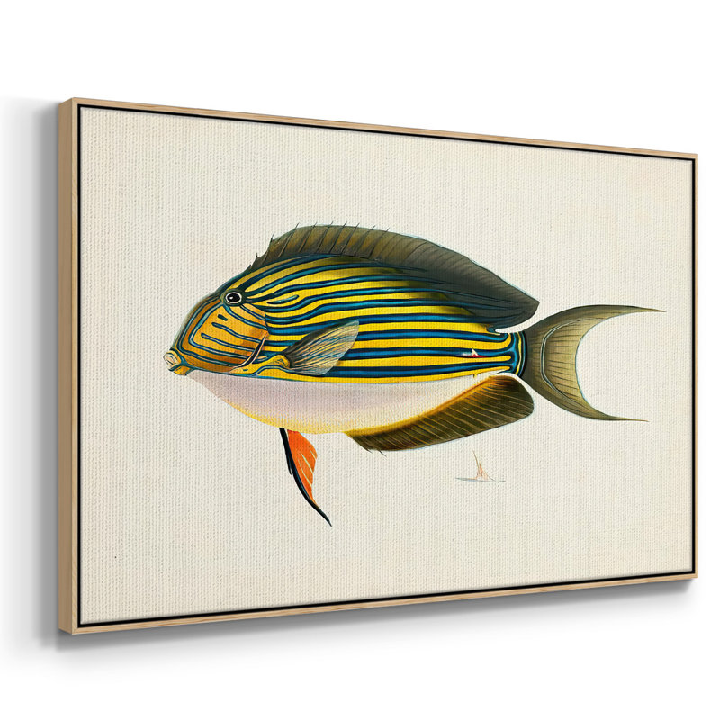 «Tropical Fish Collection I», reproduction sur toile, H 25 po x l 37 po x P 2 po, Cadre en bois naturel