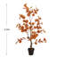 90.2cm Plant